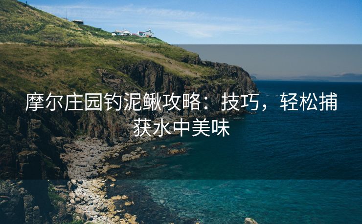 摩尔庄园钓泥鳅攻略：技巧，轻松捕获水中美味