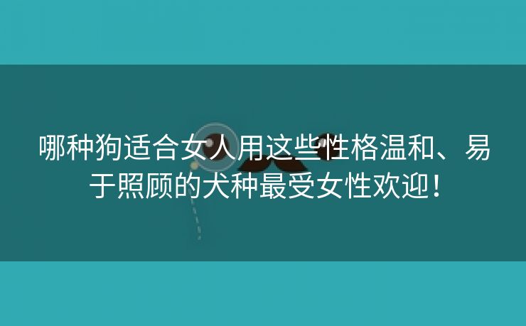 哪种狗适合女人用这些性格温和、易于照顾的犬种最受女性欢迎！