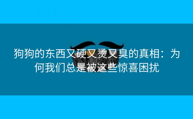 狗狗的东西又硬又烫又臭的真相：为何我们总是被这些惊喜困扰