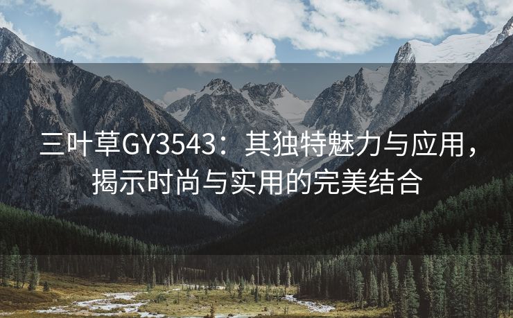 三叶草GY3543：其独特魅力与应用，揭示时尚与实用的完美结合