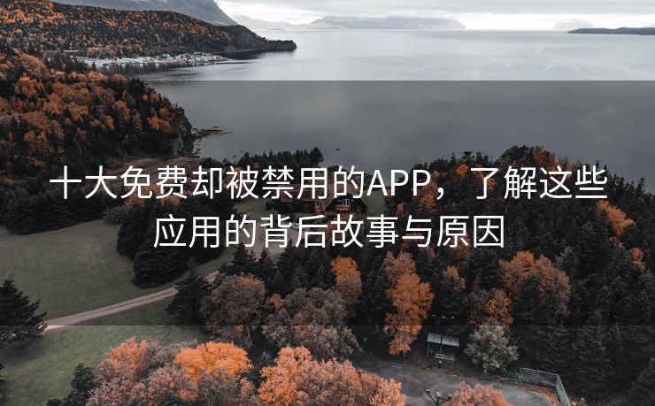 十大免费却被禁用的APP，了解这些应用的背后故事与原因