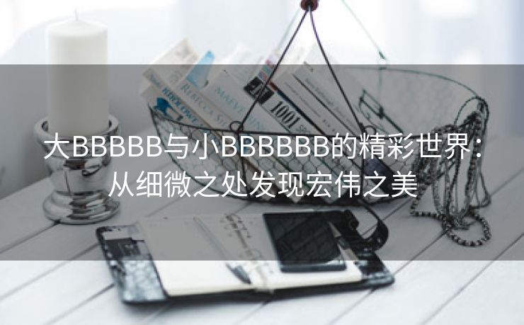 大BBBBB与小BBBBBB的精彩世界：从细微之处发现宏伟之美