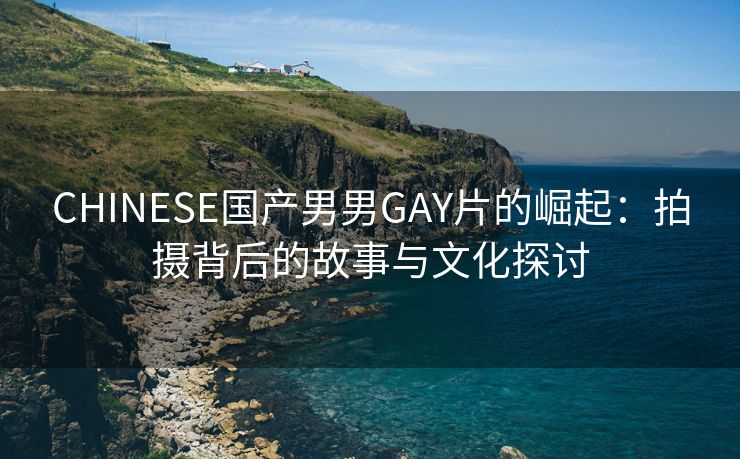 CHINESE国产男男GAY片的崛起：拍摄背后的故事与文化探讨