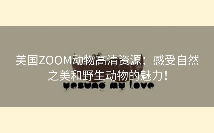 美国ZOOM动物高清资源：感受自然之美和野生动物的魅力！