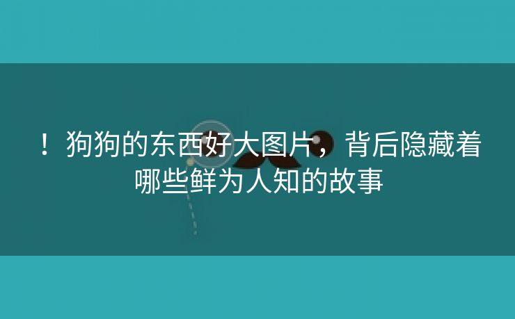 ！狗狗的东西好大图片，背后隐藏着哪些鲜为人知的故事