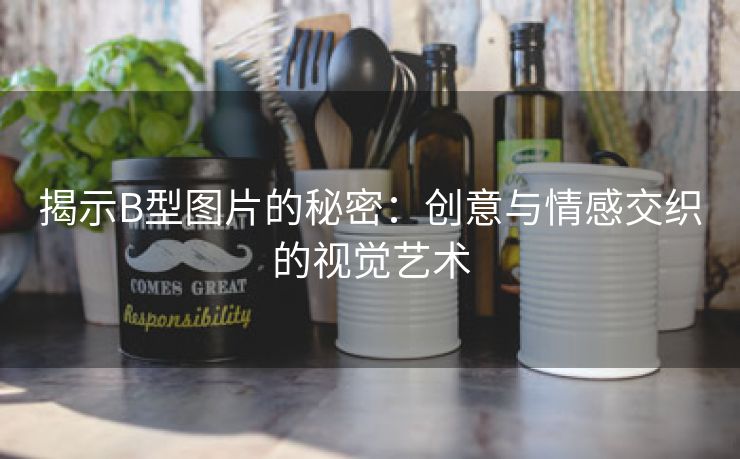 揭示B型图片的秘密：创意与情感交织的视觉艺术