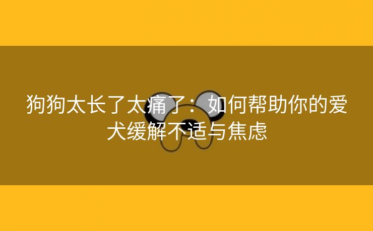 狗狗太长了太痛了：如何帮助你的爱犬缓解不适与焦虑