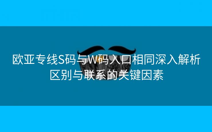 欧亚专线S码与W码入口相同深入解析区别与联系的关键因素