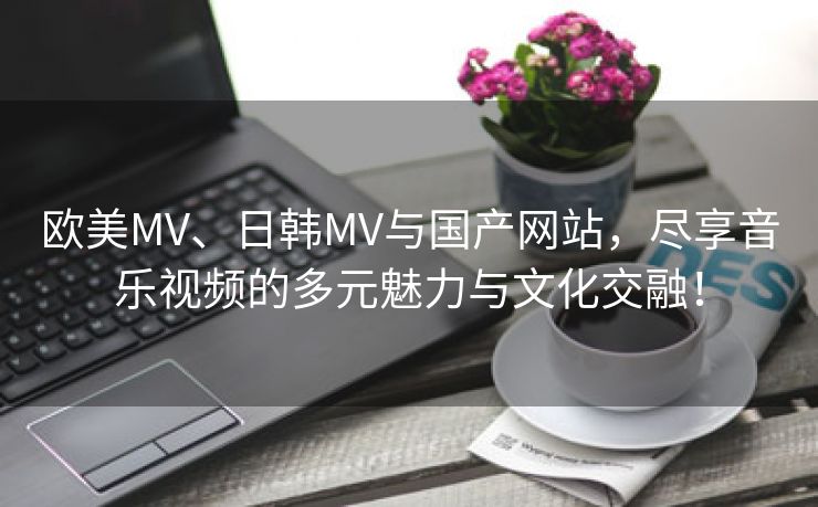 欧美MV、日韩MV与国产网站，尽享音乐视频的多元魅力与文化交融！