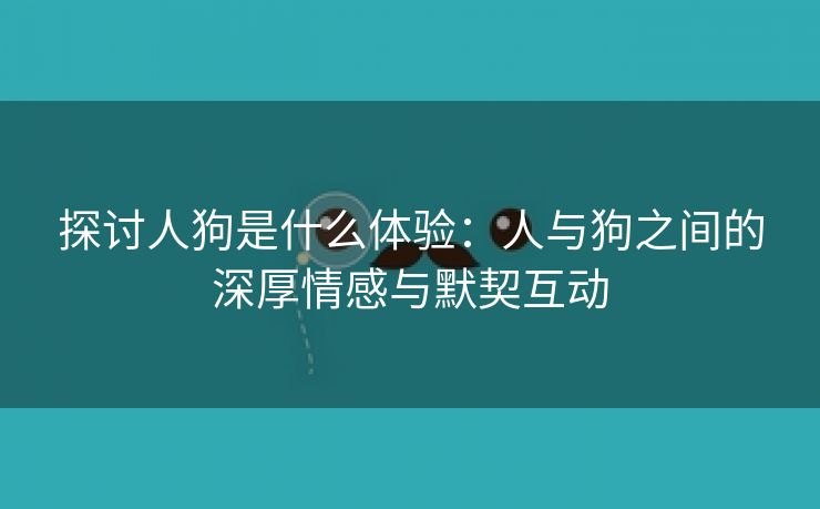 探讨人狗是什么体验：人与狗之间的深厚情感与默契互动