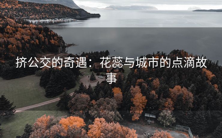 挤公交的奇遇：花蕊与城市的点滴故事