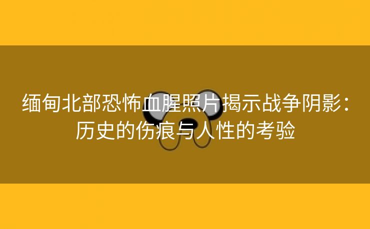 缅甸北部恐怖血腥照片揭示战争阴影：历史的伤痕与人性的考验