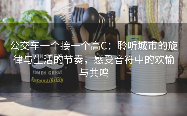 公交车一个接一个高C：聆听城市的旋律与生活的节奏，感受音符中的欢愉与共鸣