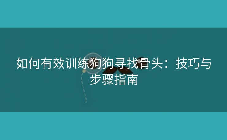 如何有效训练狗狗寻找骨头：技巧与步骤指南