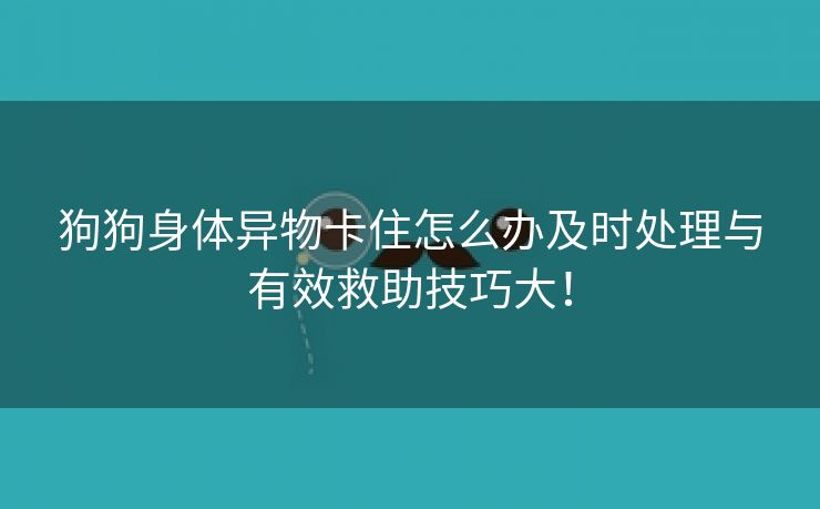 狗狗身体异物卡住怎么办及时处理与有效救助技巧大！