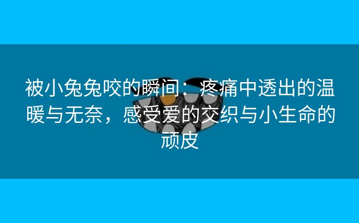 被小兔兔咬的瞬间：疼痛中透出的温暖与无奈，感受爱的交织与小生命的顽皮