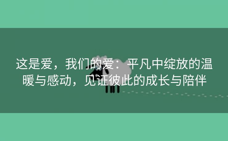 这是爱，我们的爱：平凡中绽放的温暖与感动，见证彼此的成长与陪伴