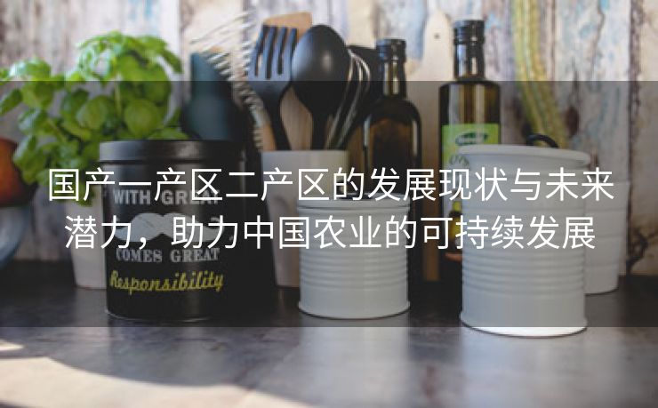 国产一产区二产区的发展现状与未来潜力，助力中国农业的可持续发展