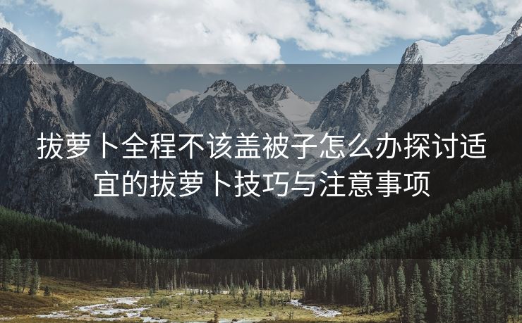 拔萝卜全程不该盖被子怎么办探讨适宜的拔萝卜技巧与注意事项