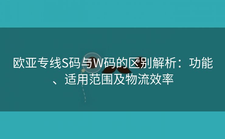 欧亚专线S码与W码的区别解析：功能、适用范围及物流效率