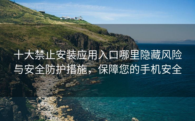 十大禁止安装应用入口哪里隐藏风险与安全防护措施，保障您的手机安全