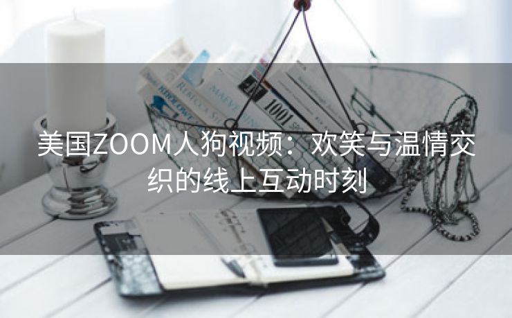 美国ZOOM人狗视频：欢笑与温情交织的线上互动时刻