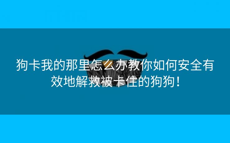 狗卡我的那里怎么办教你如何安全有效地解救被卡住的狗狗！