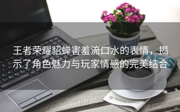 王者荣耀貂蝉害羞流口水的表情，揭示了角色魅力与玩家情感的完美结合