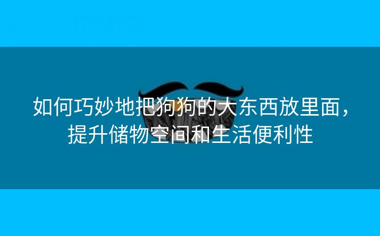 如何巧妙地把狗狗的大东西放里面，提升储物空间和生活便利性