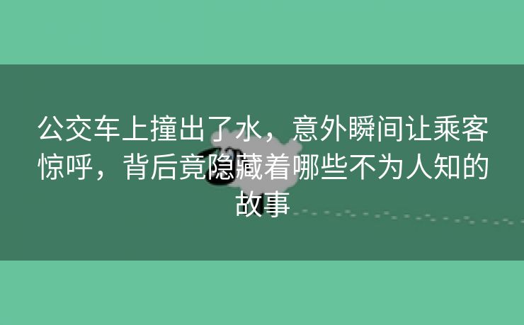 公交车上撞出了水，意外瞬间让乘客惊呼，背后竟隐藏着哪些不为人知的故事