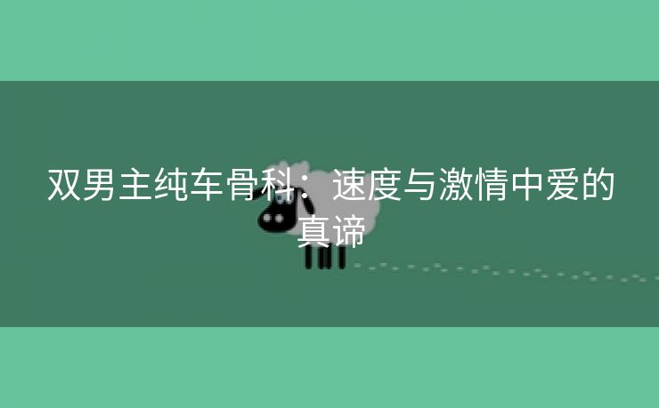 双男主纯车骨科：速度与激情中爱的真谛