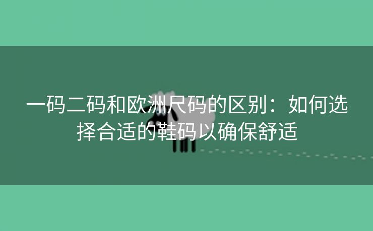 一码二码和欧洲尺码的区别：如何选择合适的鞋码以确保舒适