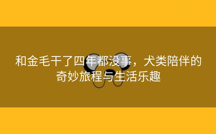 和金毛干了四年都没事，犬类陪伴的奇妙旅程与生活乐趣