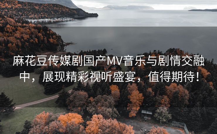 麻花豆传媒剧国产MV音乐与剧情交融中，展现精彩视听盛宴，值得期待！