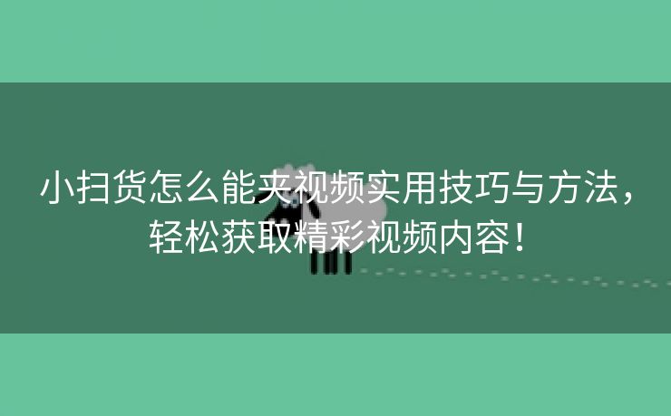 小扫货怎么能夹视频实用技巧与方法，轻松获取精彩视频内容！