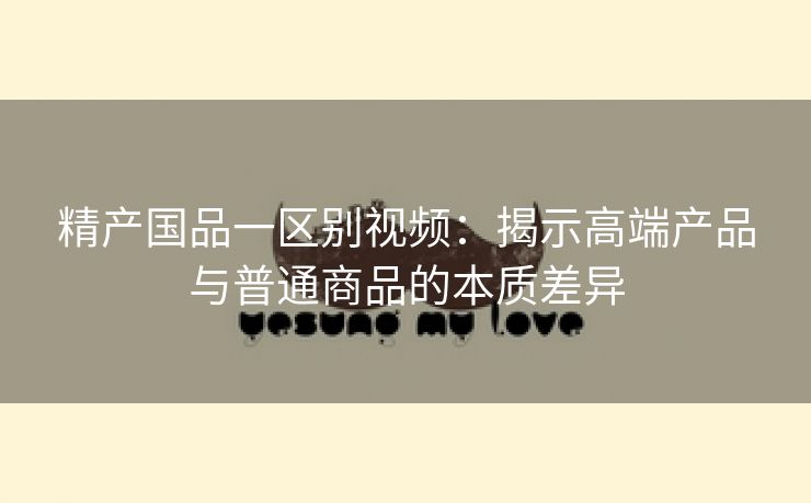 精产国品一区别视频：揭示高端产品与普通商品的本质差异