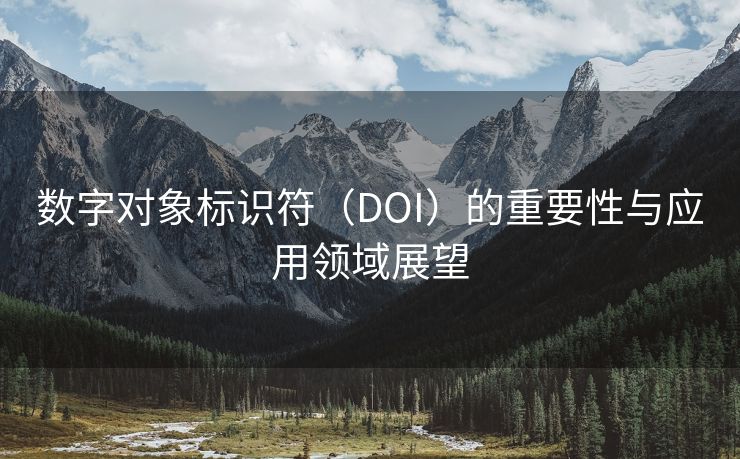 数字对象标识符（DOI）的重要性与应用领域展望