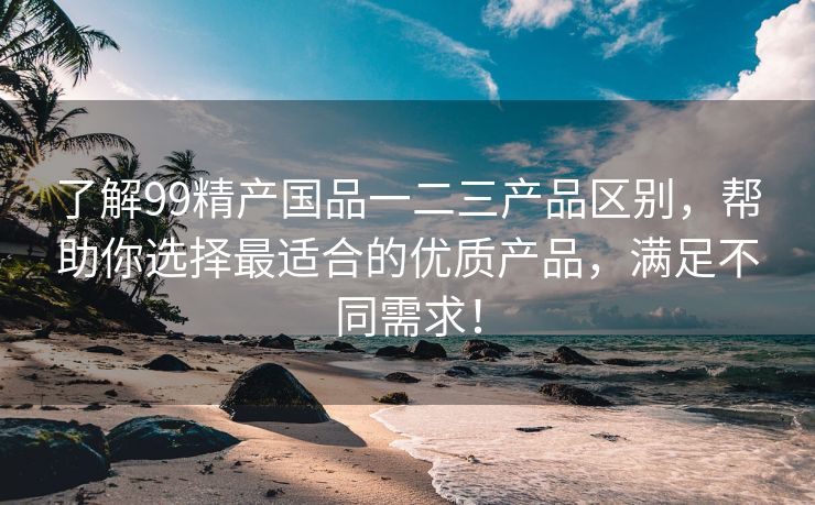 了解99精产国品一二三产品区别，帮助你选择最适合的优质产品，满足不同需求！