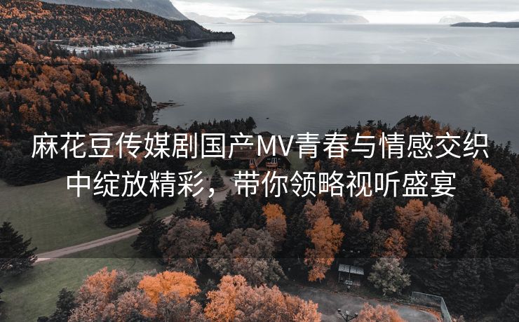 麻花豆传媒剧国产MV青春与情感交织中绽放精彩，带你领略视听盛宴