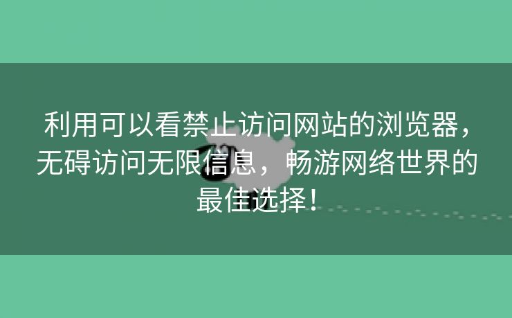 利用可以看禁止访问网站的浏览器，无碍访问无限信息，畅游网络世界的最佳选择！