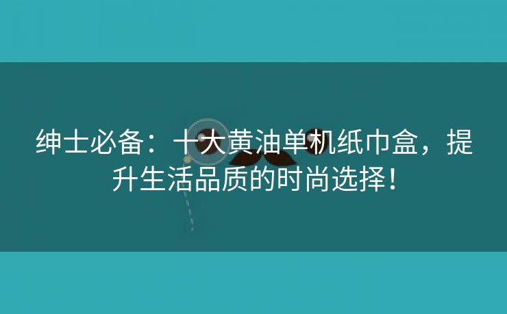 绅士必备：十大黄油单机纸巾盒，提升生活品质的时尚选择！