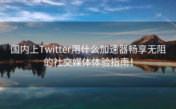 国内上Twitter用什么加速器畅享无阻的社交媒体体验指南！