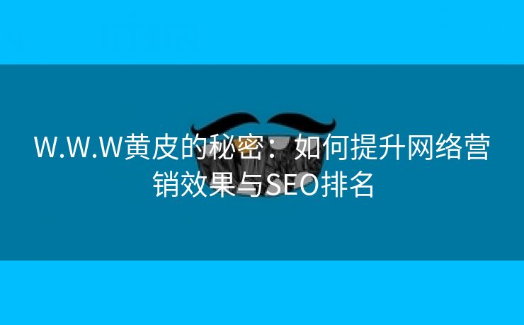 W.W.W黄皮的秘密：如何提升网络营销效果与SEO排名