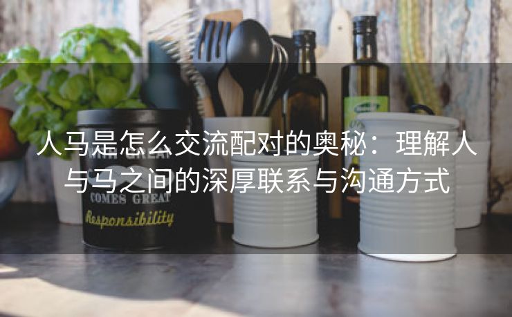 人马是怎么交流配对的奥秘：理解人与马之间的深厚联系与沟通方式