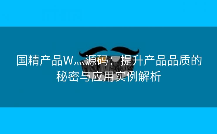 国精产品W灬源码：提升产品品质的秘密与应用实例解析