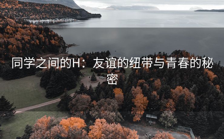 同学之间的H：友谊的纽带与青春的秘密