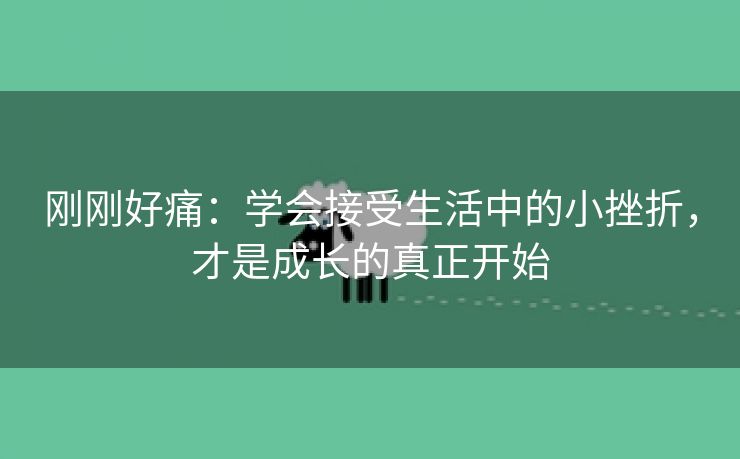 刚刚好痛：学会接受生活中的小挫折，才是成长的真正开始