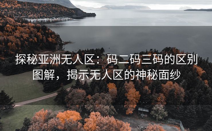 探秘亚洲无人区：码二码三码的区别图解，揭示无人区的神秘面纱