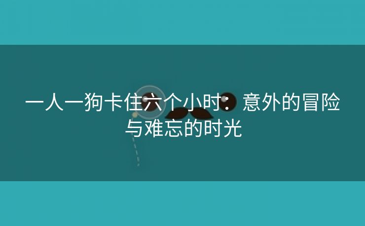 一人一狗卡住六个小时：意外的冒险与难忘的时光