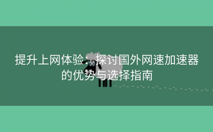 提升上网体验：探讨国外网速加速器的优势与选择指南